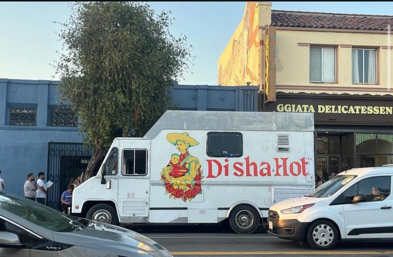 Wide shot of Disha Hot Food truck parked on the sidewalk. The logo of Disha Hot is visible, showcasing a woman holding her baby. Customers wait in line.